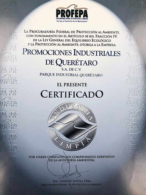 certificado 8